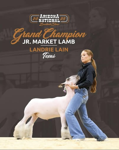 Grand Champion Overall, 2025 AZ National Grand Champion Overall, 2025 AZ National