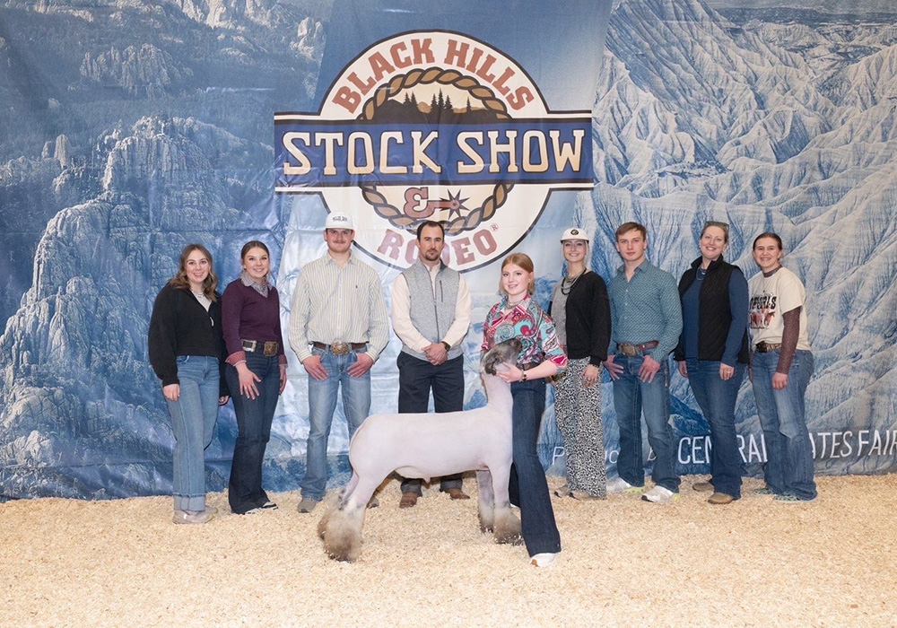3rd Overall Hampshire Market Lamb, 2026 Black Hills Stock Show 3rd Overall Hampshire Market Lamb, 2026 Black Hills Stock Show