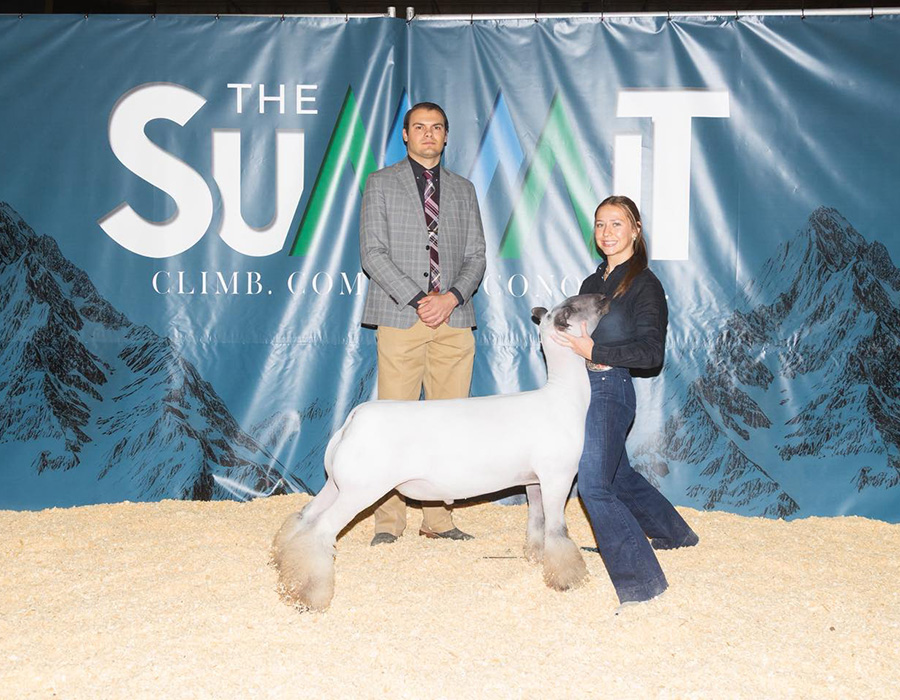 Grand Champion Lamb, 2026 The Summit Grand Champion Lamb, 2026 The Summit